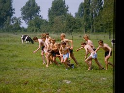 0DIA 1984 RAVA B1